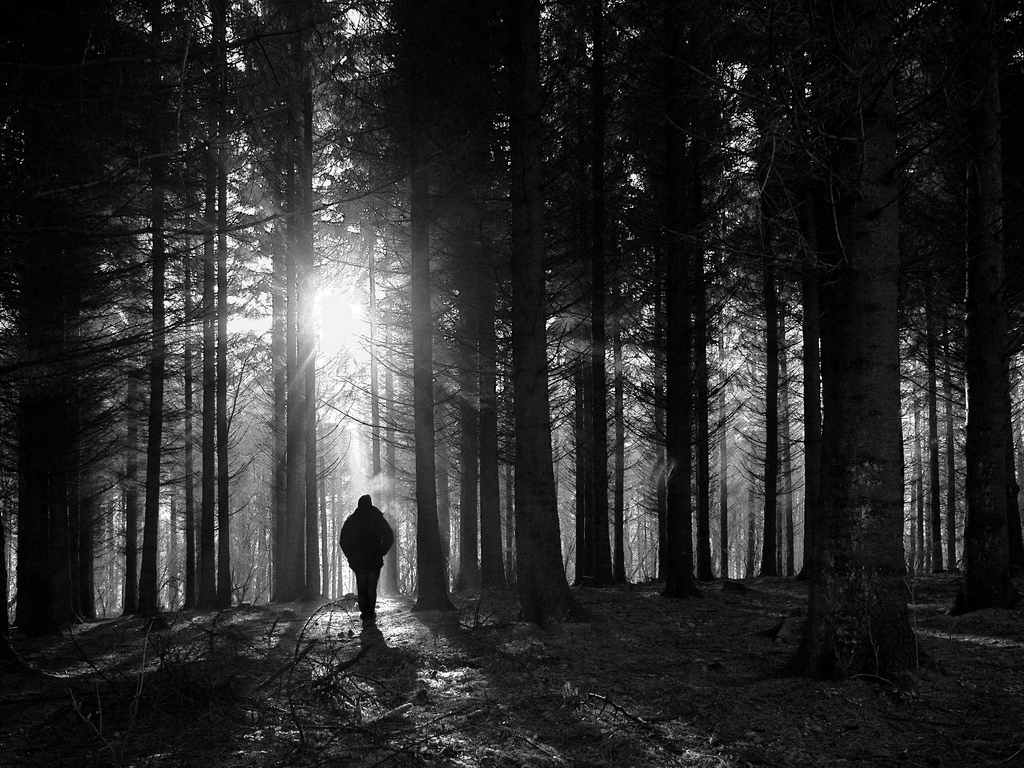 Silhouette of a man in the woods.