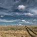 Clouds and rolling wheat fields.