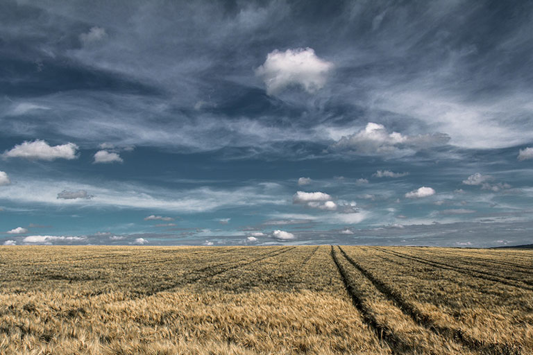 Clouds and rolling wheat fields.