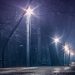 Park lights illuminate the sidewalk on a dark night.