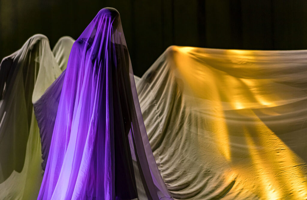 Women performing under sheets.
