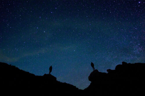 Two silhouettes against a nighttime starlit sky.
