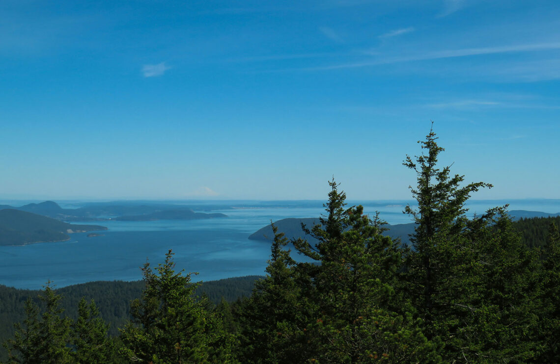 A forest overlooks the water surrounding Orcas Island.