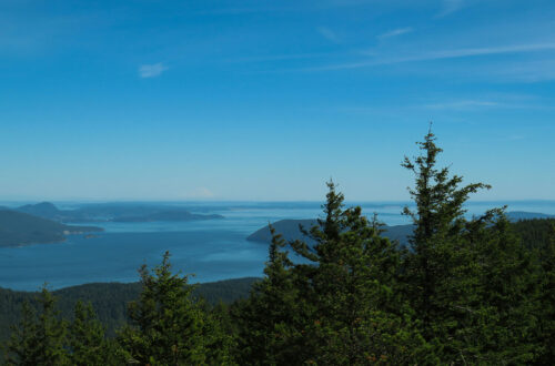 A forest overlooks the water surrounding Orcas Island.