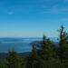 A forest overlooks the water surrounding Orcas Island.
